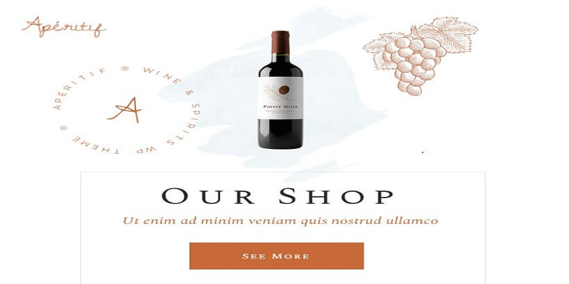 Aperitif-Best-Alcohol-WordPress-themes-for-Buying-and-Selling